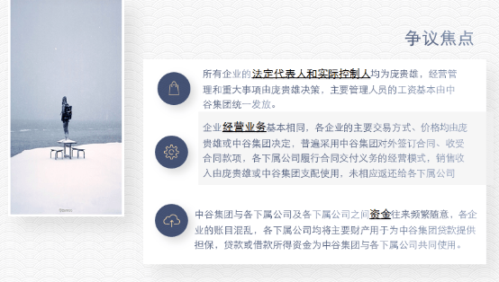 实务实质合并规则在关联企业破产重整中的运用