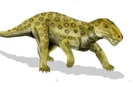 盘点5大相貌怪异的原始生物,第3种被视为人类的祖先