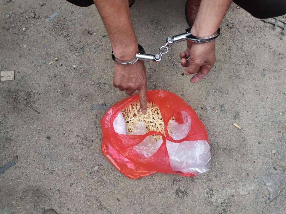 闽北:民警赶赴顺昌,成功抓捕嫌疑人