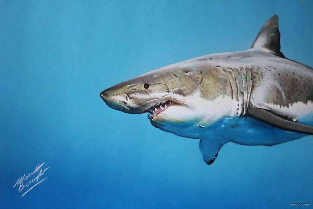 极品彩铅超写实3d彩铅作品欣赏意大利画家marcellobarenghi