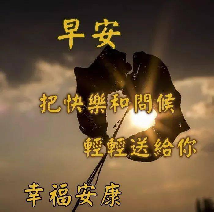 8月18特別漂亮的早上好問候祝福圖片2020新版早上好問候表情祝福圖片