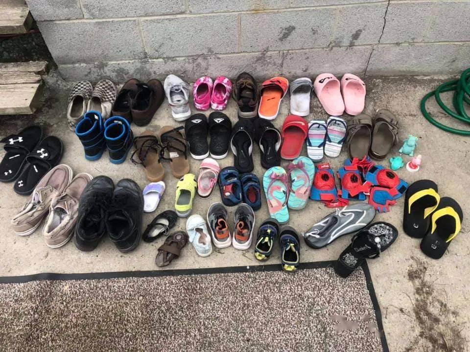 猫偷鞋没被责怪反而成网红而且还是成双的偷高达50多双