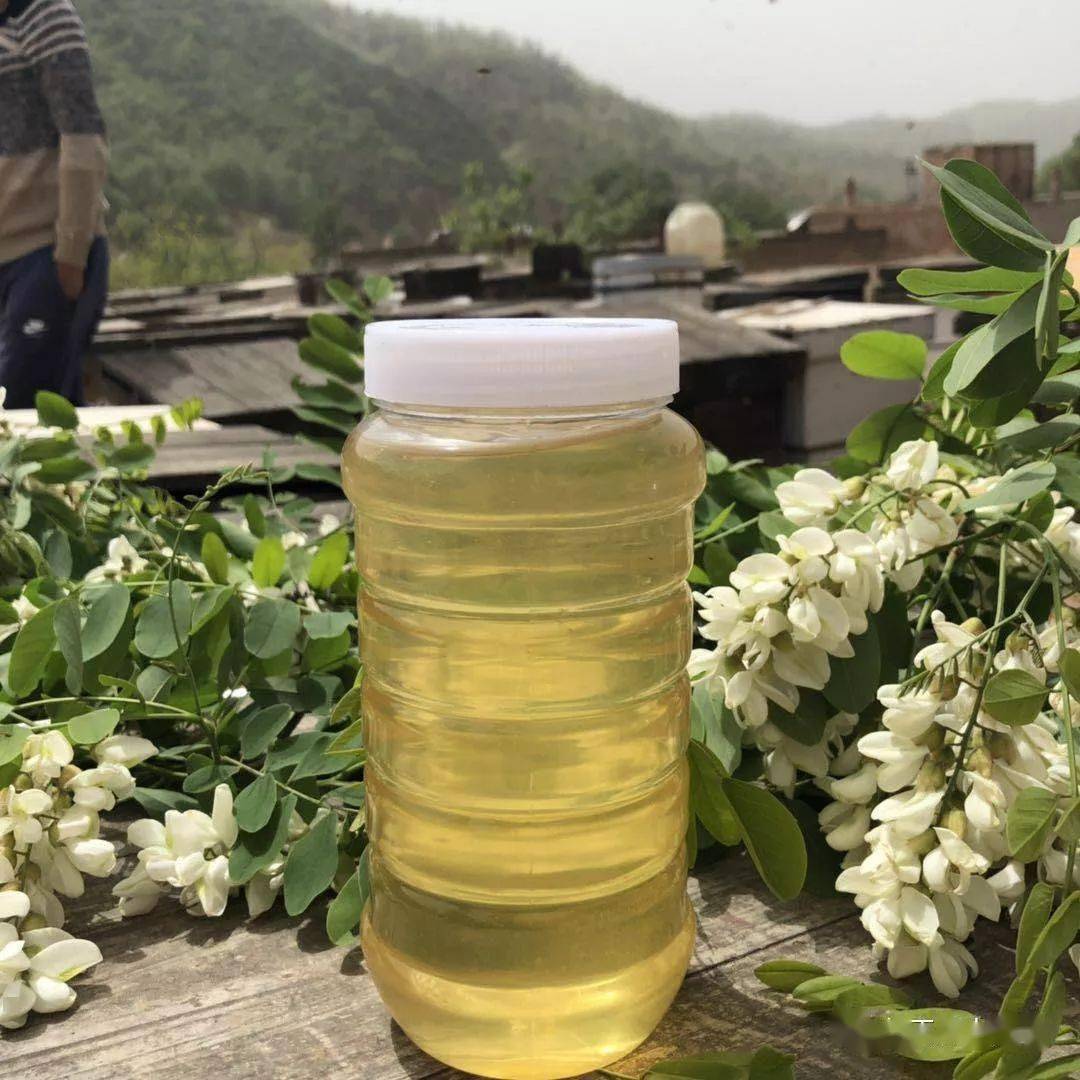 洋槐蜂蜜我国级别最高的出口蜂蜜