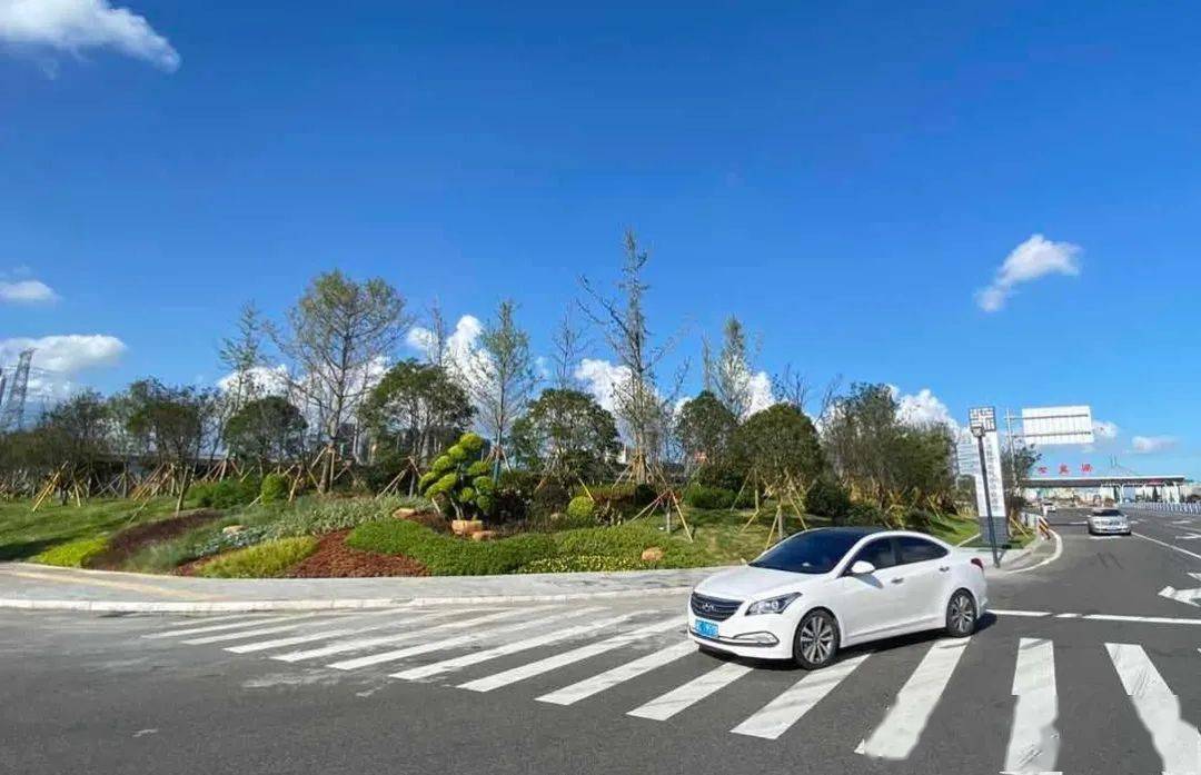 城市大门越来越靓七里港高速口绿化提升67