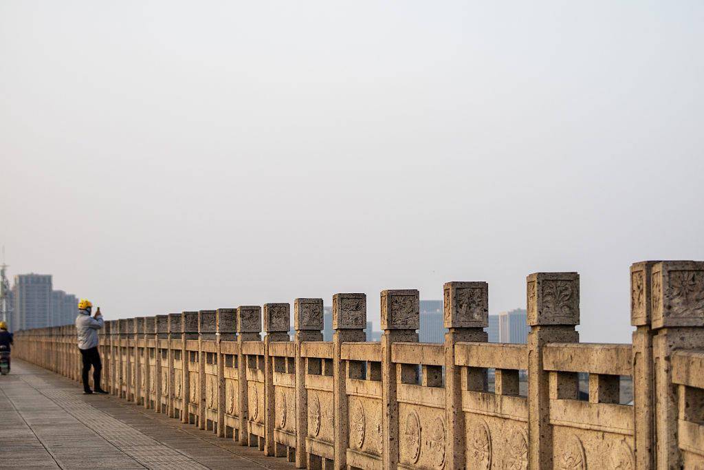 浙江绍兴大滩湖里来了一只大白鹅
