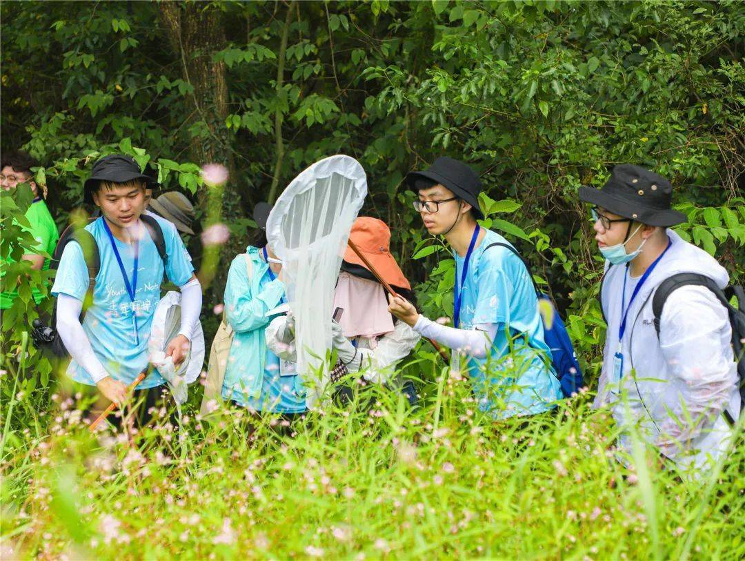 绿水青山间的研学探秘之旅国内多所高校走进婺城开启生物多样性科考