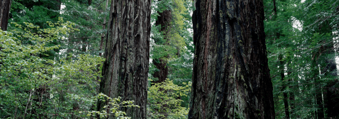 胡桃木浴室柜感受北美原始森林之美