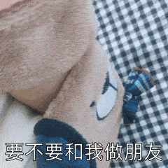 壁纸今天只有可爱和快乐