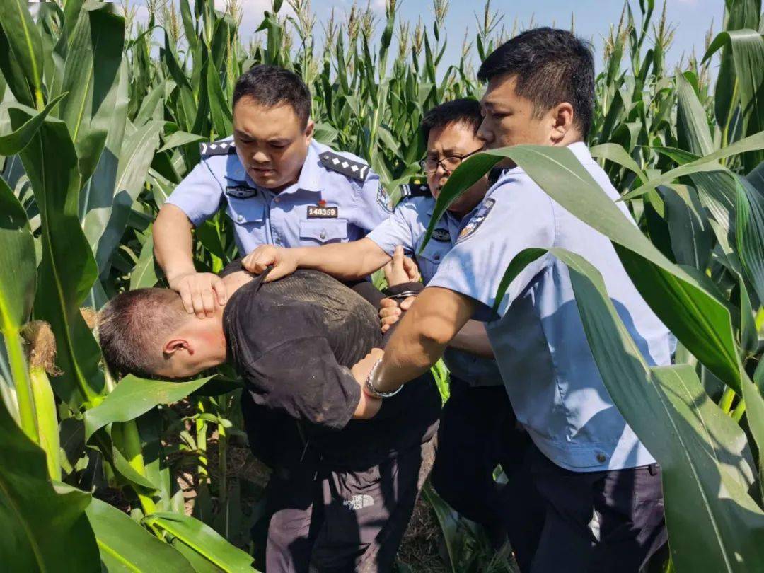 电动车被盗 高唐警方追击50里抓获嫌疑人 竟是网上追讨犯!