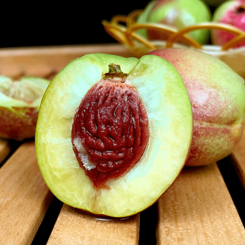 只在甘肃才能吃到的桃子李广桃属于西北的惊喜味道