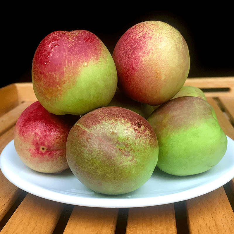 只在甘肃才能吃到的桃子李广桃属于西北的惊喜味道