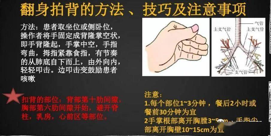 拍背的6大禁忌正确拍背要这样拍才行