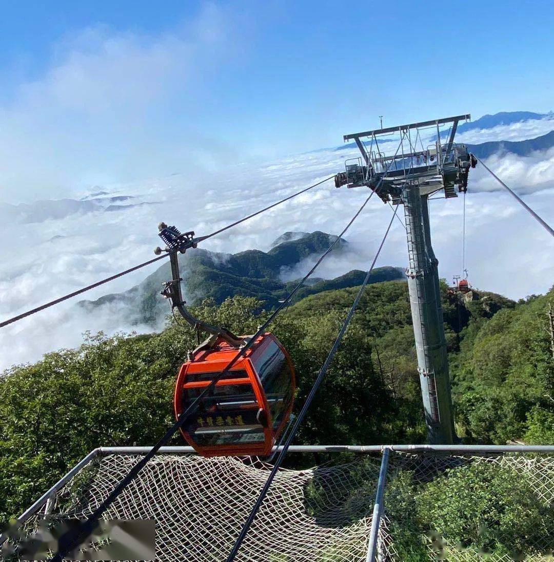 商洛出游新方式~ 雨过天晴,今日牛背梁景区恢复正常营业!