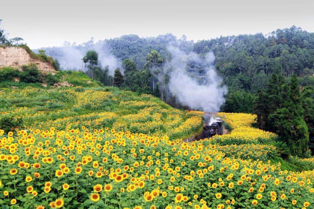桫椤湖景区 瓦屋山景区 图 | 瓦屋山景区 柳江古镇 图 | 柳江古镇旅游