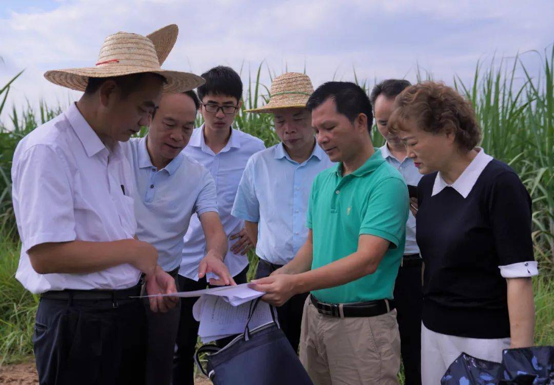 8月21日,自治区自然资源厅权益处处长蒋立敏,自治区土地储备中心主任