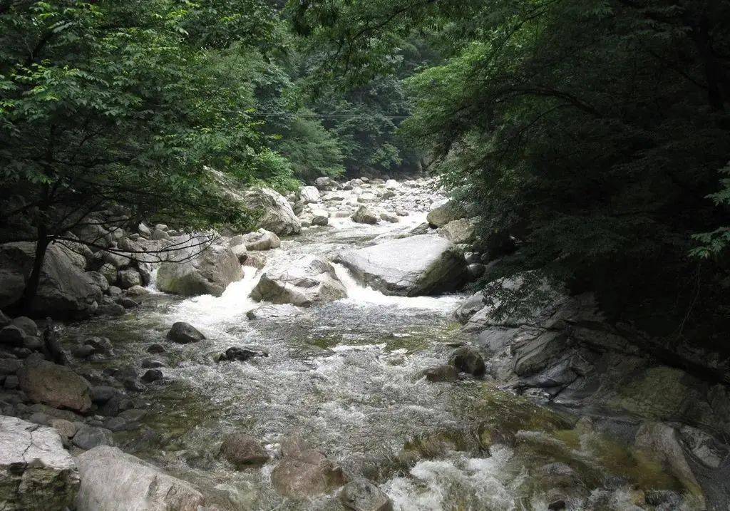 七夕來桑坑頭溪上竹排露營執手同走鵲橋