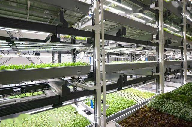 智能农场，智能农场管理系统