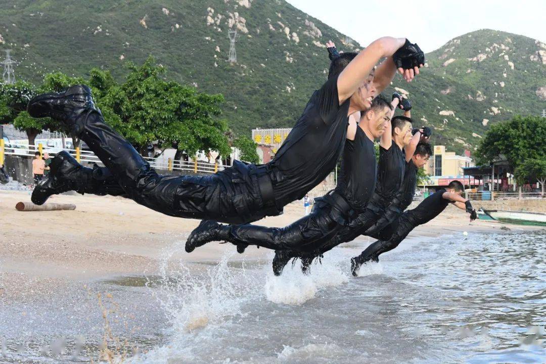 海鲨特种部队图片