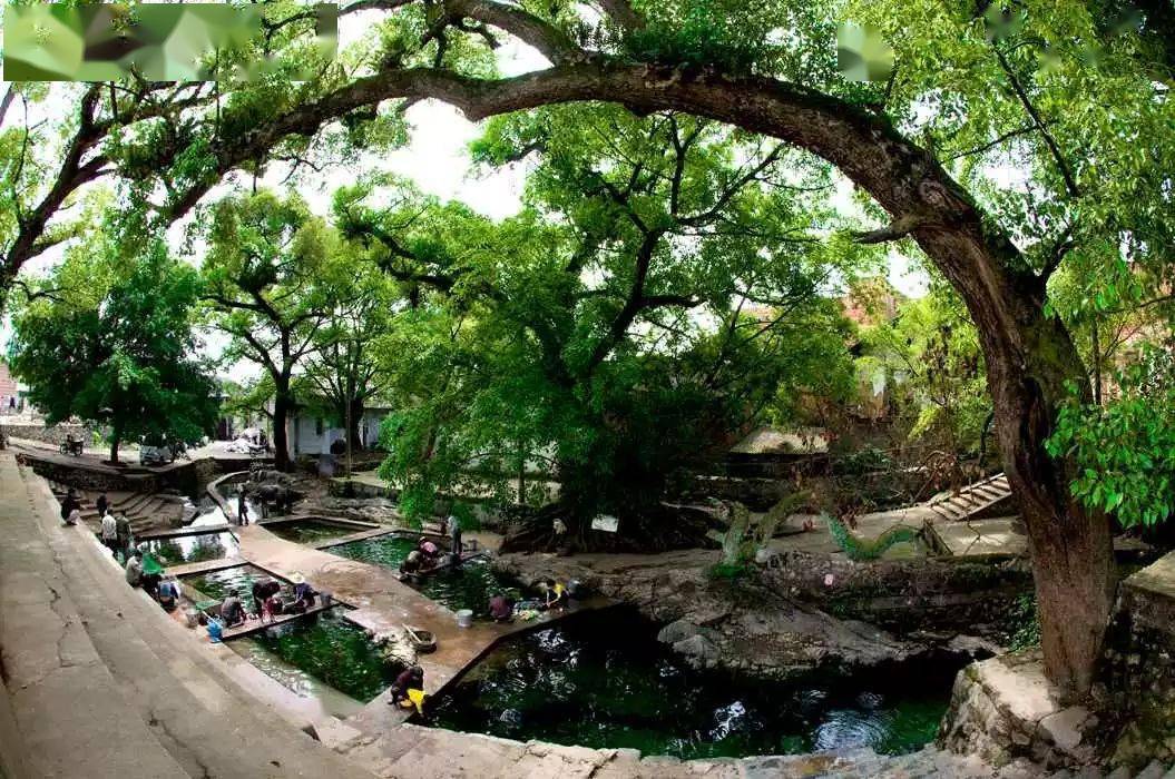 柳州又一美食被列为"非物质文化遗产"!这个镇要出名了_洛满水