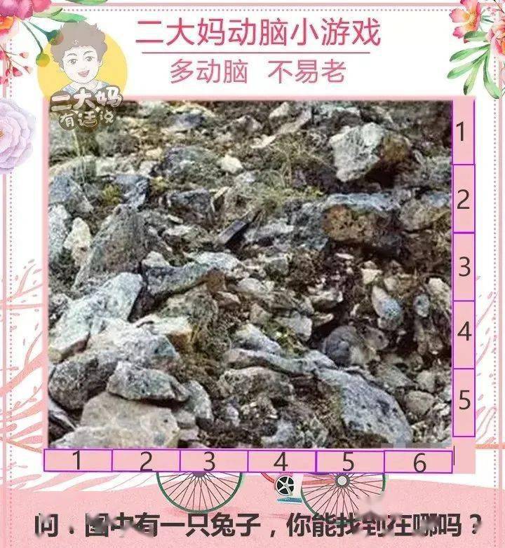 动脑游戏这张图里有只兔子能在30秒内找出来证明你还年轻