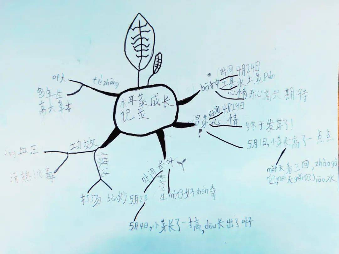 麟:黄瓜周维亚:木耳菜王辰语:黄瓜李劲熙:木耳菜王欣谊:空心菜罗钰清