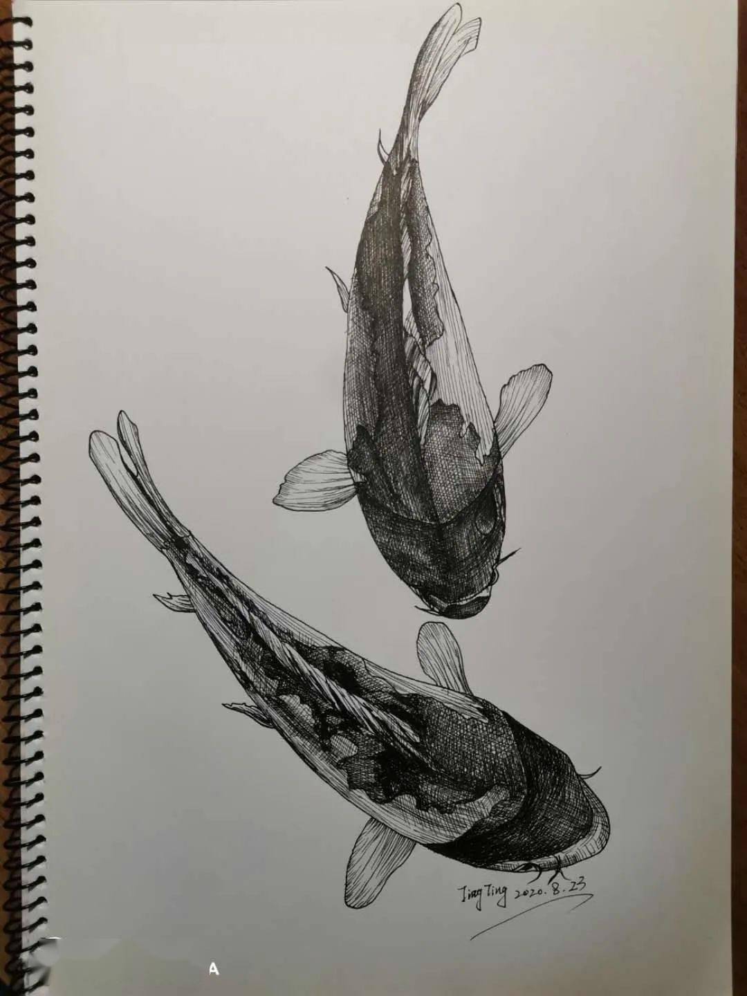 周日作业榜 | 绘栈手绘社群—线描社群