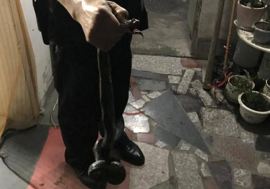 又黑又粗又长小编看到这条新闻时抖得手上的雪糕也掉了