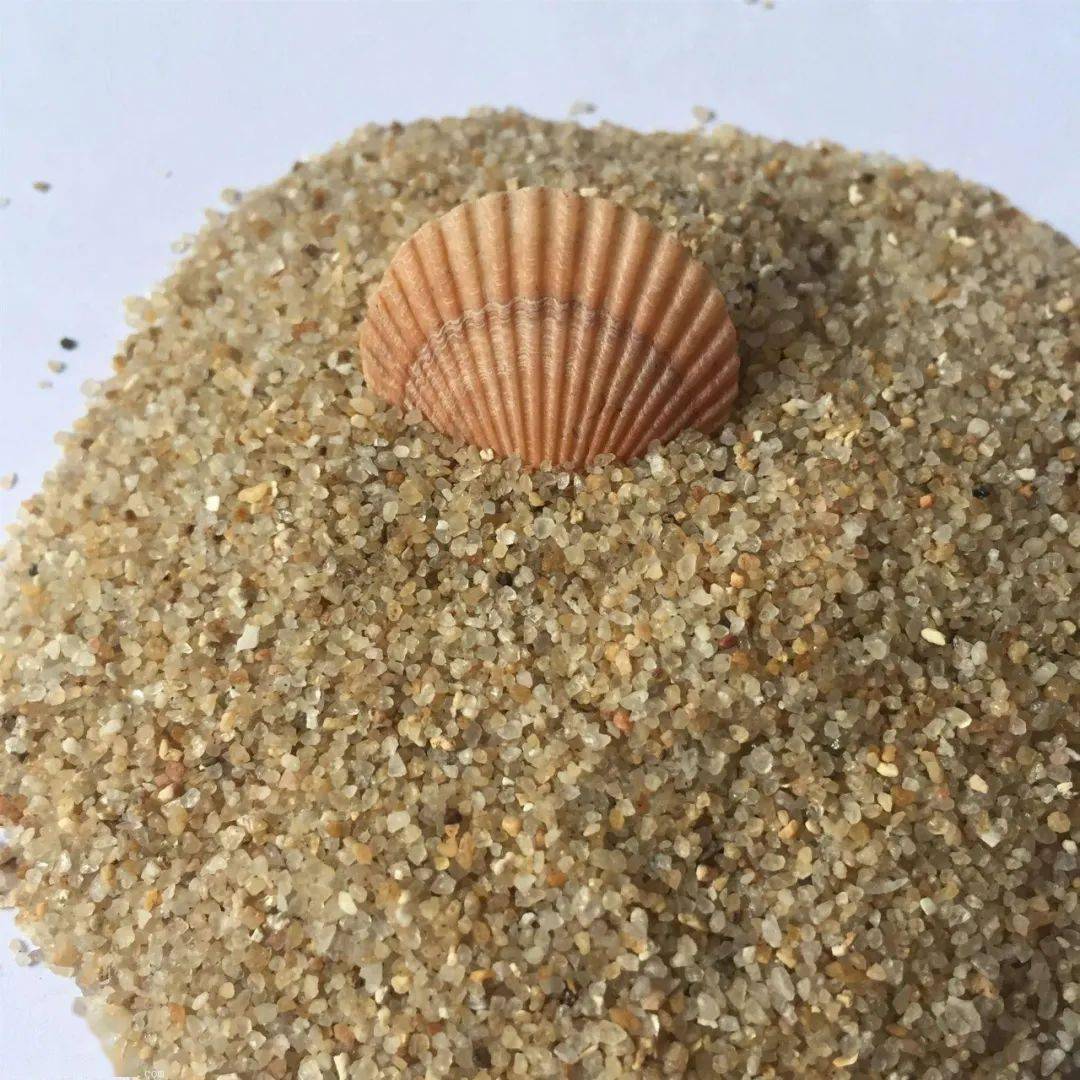 356轮60元方广西钦州一海砂采矿权以115亿元拍下