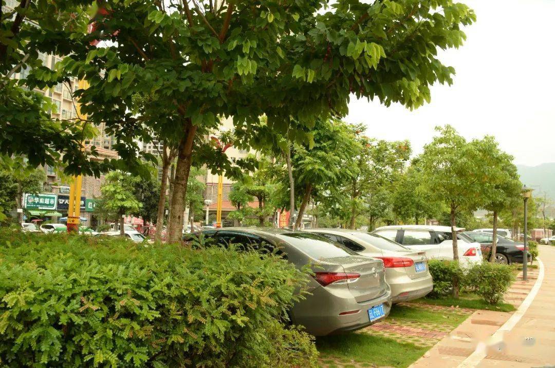 南涧县将生态停车场的建设区域布局在生态景观绿化带,开放式生态绿色