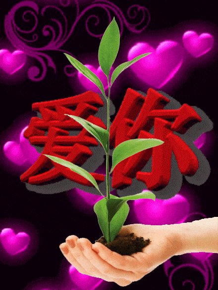 不打字就可以聊天的图片【情人节特辑】