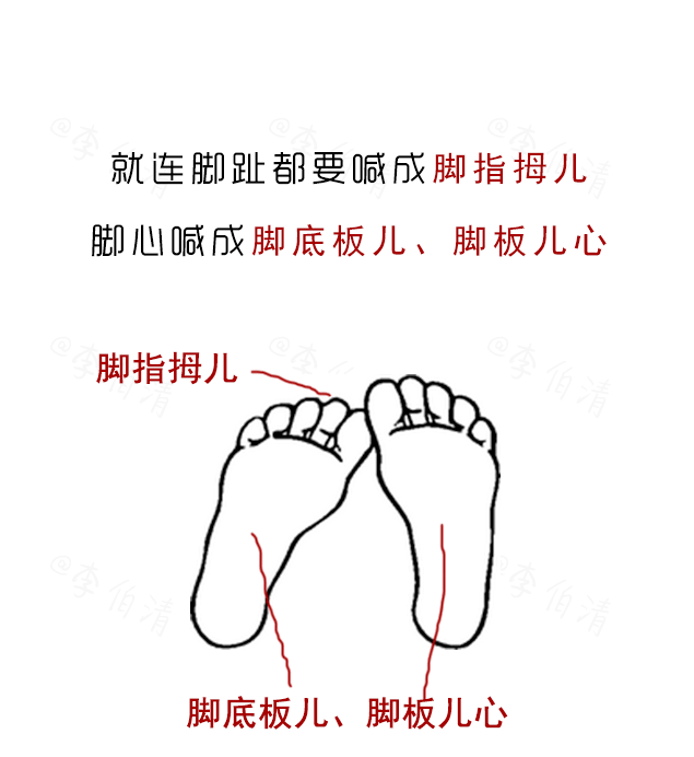 光是这身体构造的叫法上,尤其是我们四川人,这人和人之间啊,还就是不