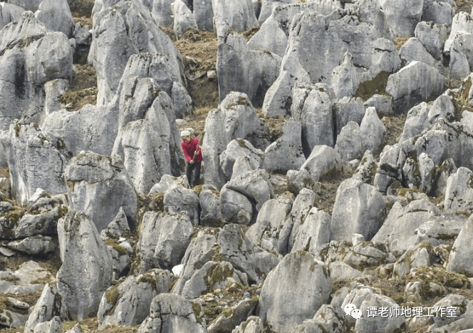 地理科普为什么说石漠化是人与土地出现的一个新难题