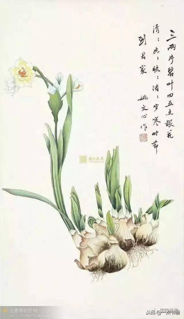 名家笔下的国画水仙荟萃