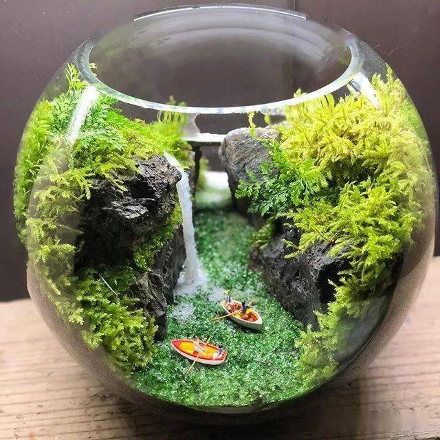 全球顶尖苔藓缸造景作品