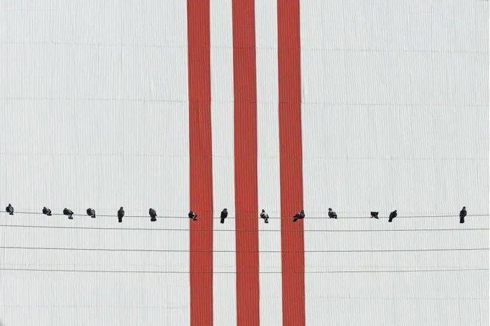 2020年极简主义摄影奖获奖作品真的是简约