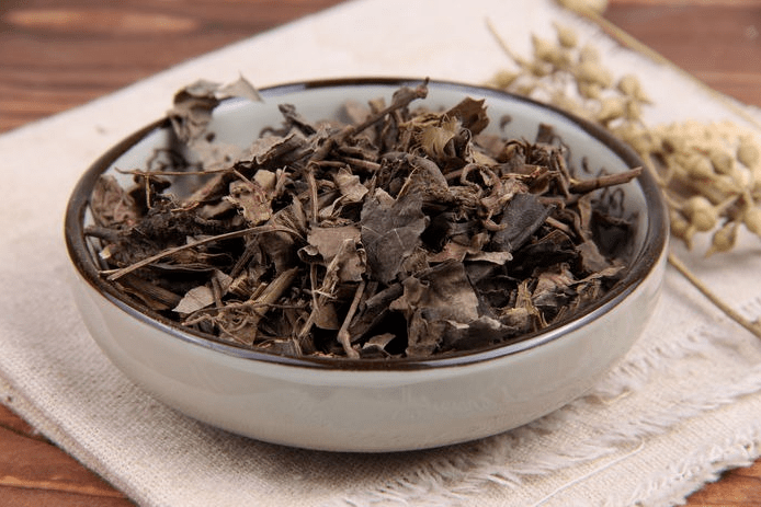 每天学一味中药,海风藤!