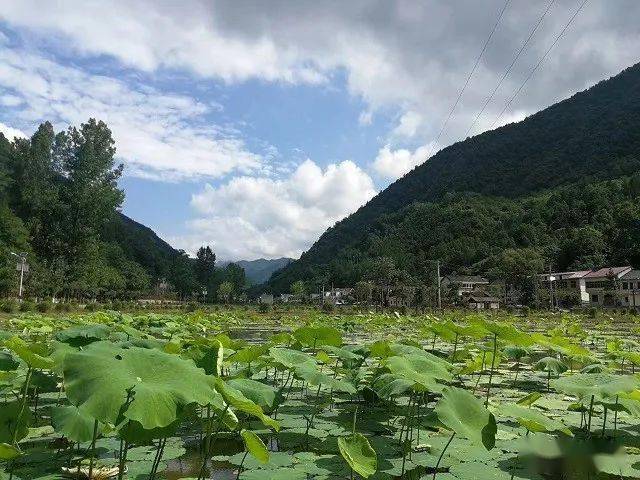 金米村旅游景点图片