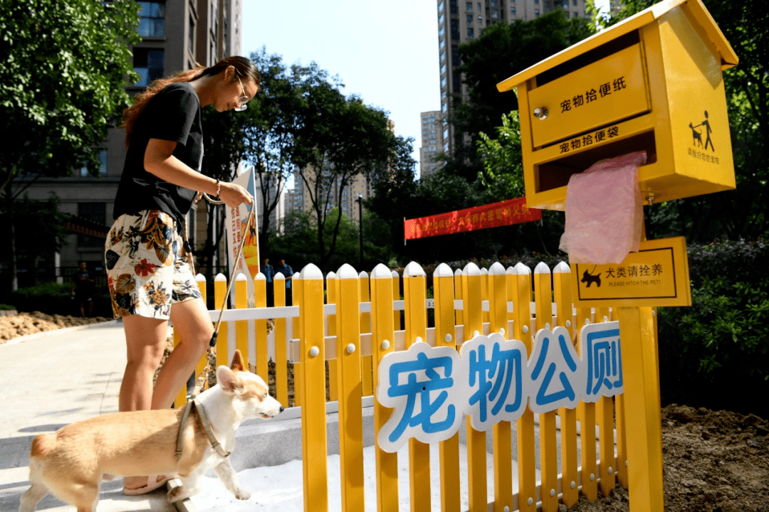 瑶海:宠物公厕亮相居民小区