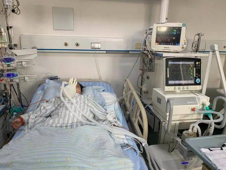 仍躺在重症监护室的鑫鑫目前身体状况已渐趋平稳