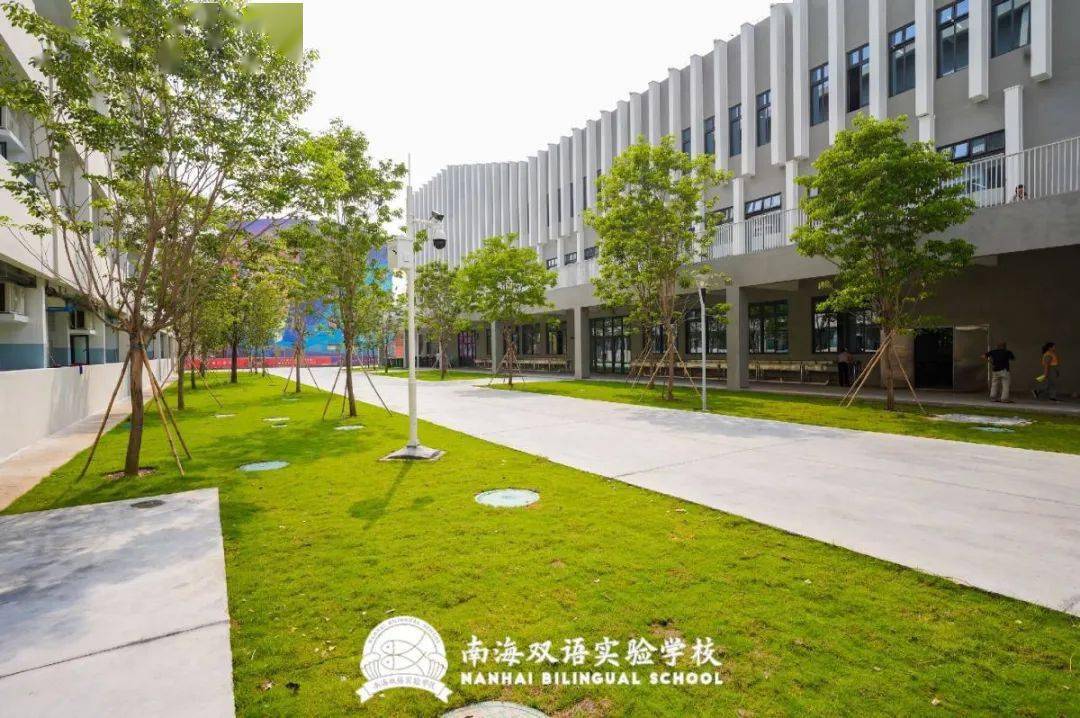 未来在南双南双创未来南海双语实验学校正式启用啦