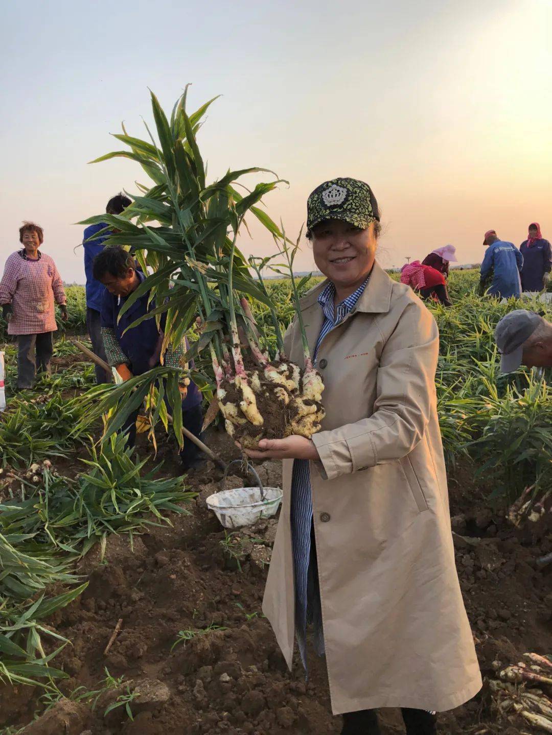 致富带头人典型事迹宣传材料怎么写(致富带头人典型事迹宣传材料怎么写啊)