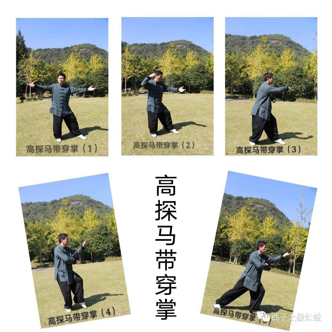 传统杨氏太极拳用法~高探马带穿掌