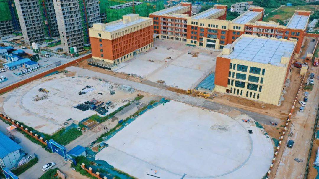 飞龙路学校 2019年3月8日摄