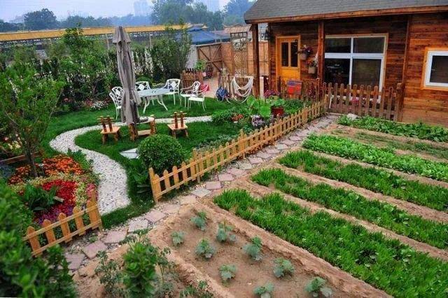 小菜地庭院设计实景图图片