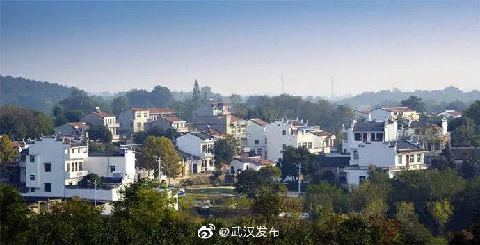 黄陂区王家河街道胜天村入选2020年中国美丽休闲乡村