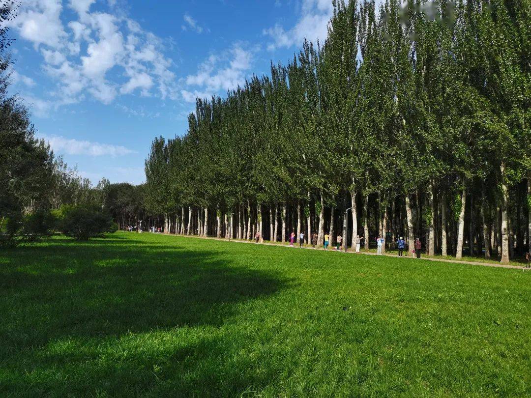 包头市森林公园她勾勒出全国文明城市创建的新画卷承载着人们享受城市