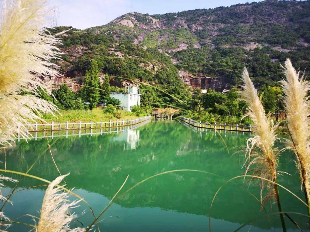 发现不一样的温州非遗集聚钟灵毓秀钟秀园