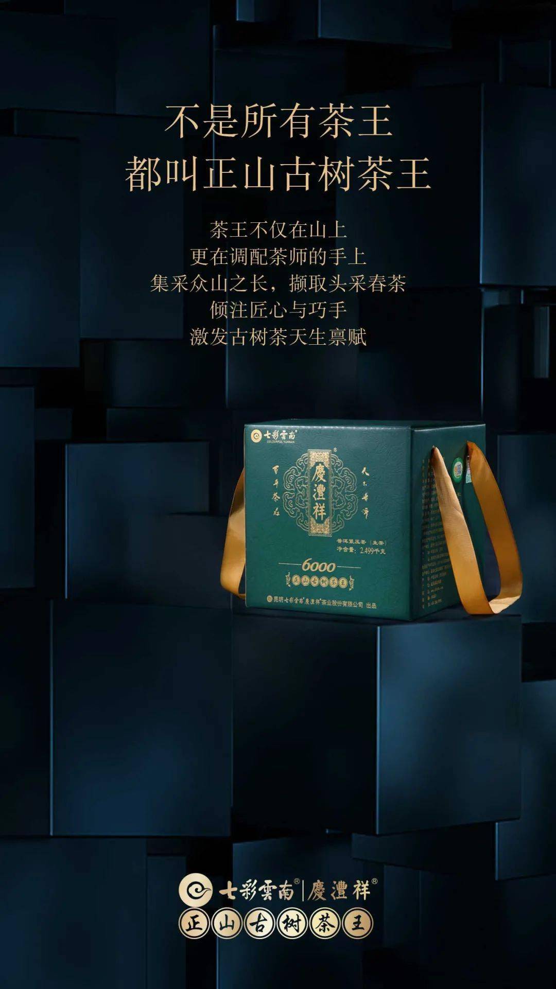 他们用一杯正山古树茶王重塑了业界古树茶王典范