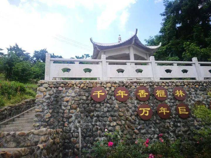 嵊州市白雁坑村建成地质文化村从此走上一条美丽致富路