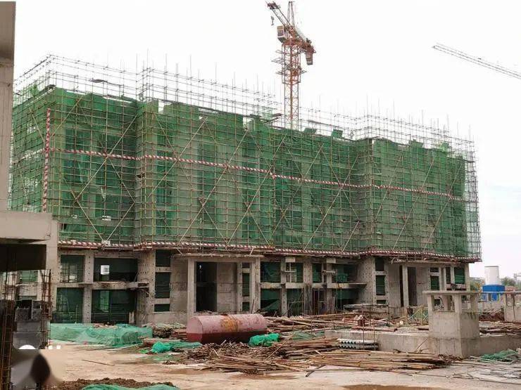橄榄绿洲和雅工程进度播报秋意浓浓家音共鉴美好